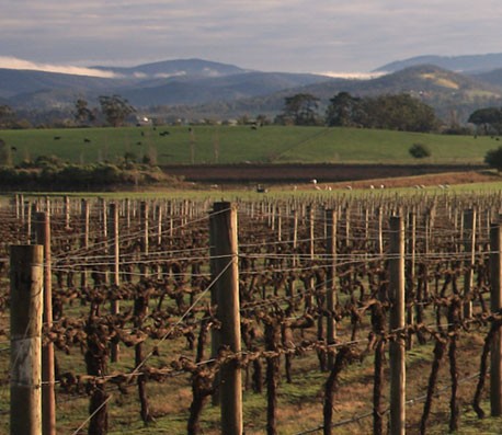 在线DDOS压力测试网页端